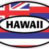 Flag Oval Hawaii Vinyl Sticker