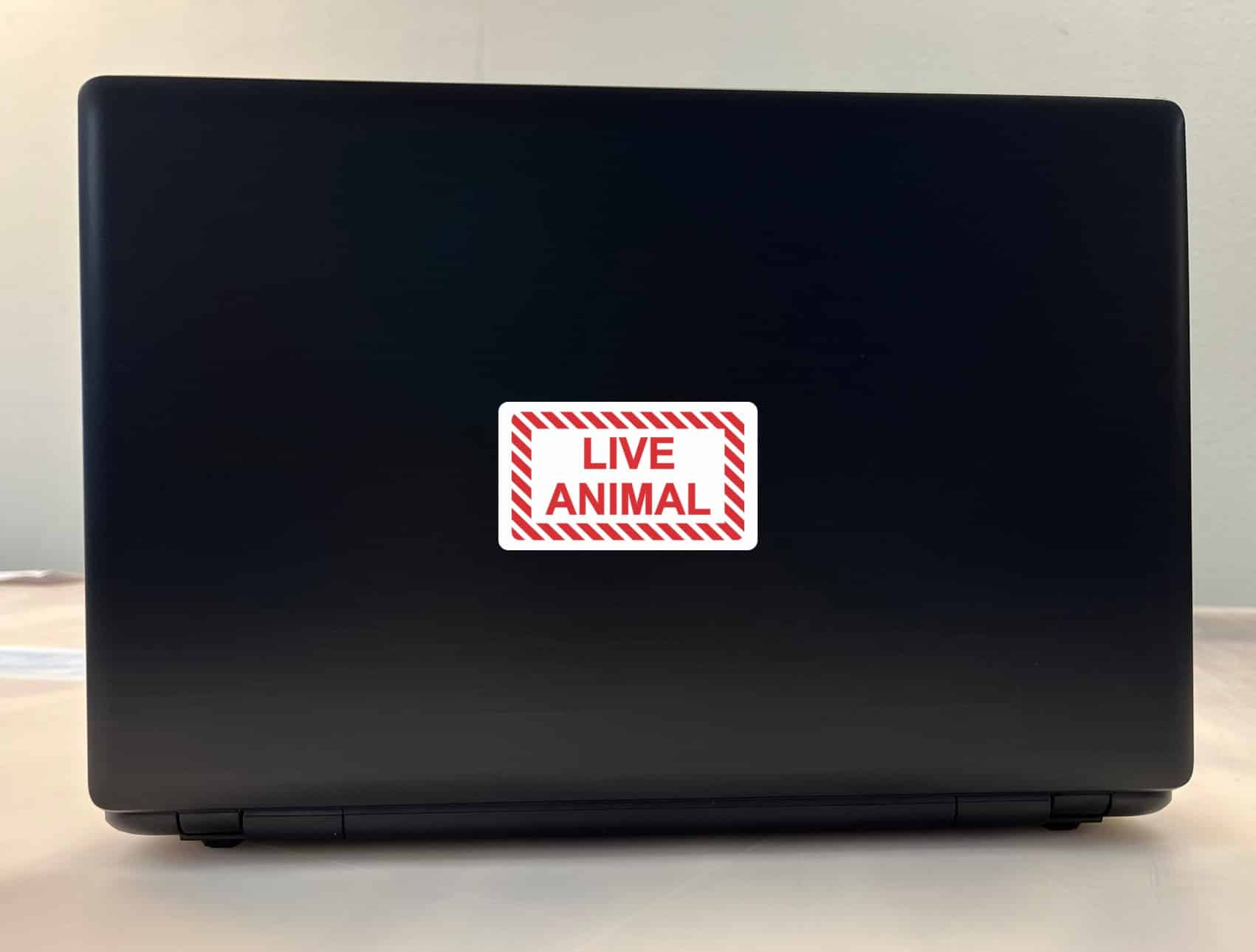 StickerTalk Live Animal Vinyl Stickers, 1 sheet of 2 stickers, 3.5 inches x 2 inches each - Image 3