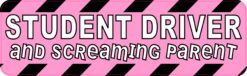 Screaming Parent Student Driver Magnet