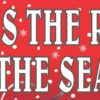 Red Jesus Is the Reason for the Season Magnet