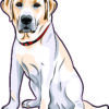 Left Facing Yellow Labrador Vinyl Sticker