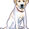 Right Facing Yellow Labrador Vinyl Sticker