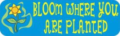Blue Bloom Where You Are Planted Magnet