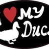I Love My Duck Vinyl Sticker