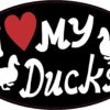 I Love My Ducks Vinyl Sticker