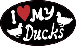 I Love My Ducks Vinyl Sticker