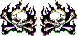 Colorful Flame Skull Vinyl Stickers