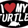 I Love My Turtle Vinyl Sticker