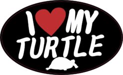 I Love My Turtle Vinyl Sticker