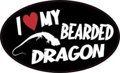 I Love My Bearded Dragon Vinyl Sticker