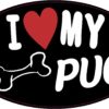 I Love My Pug Vinyl Sticker