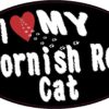 Oval I Love My Cornish Rex Cat Vinyl Sticker