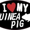Oval I Love My Guinea Pig Vinyl Sticker