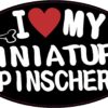 I Love My Miniature Pinscher Vinyl Sticker
