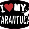 I Love My Tarantula Vinyl Sticker