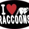 I Love Raccoons