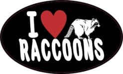 I Love Raccoons