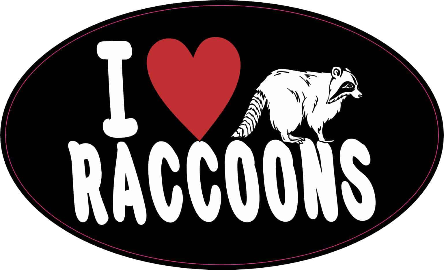 I Love Raccoons