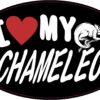 Oval I Love My Chameleon Vinyl Sticker