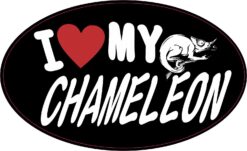 Oval I Love My Chameleon Vinyl Sticker