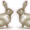 Rabbit Vinyl Stickers