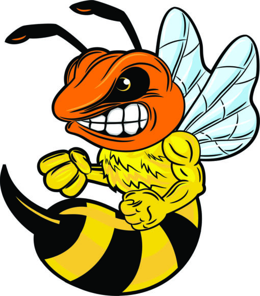 Orange and Yellow Hornet Vinyl Sticker