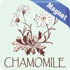 Alternative view of StickerTalk Chamomile Magnet, 3 inches x 3 inches