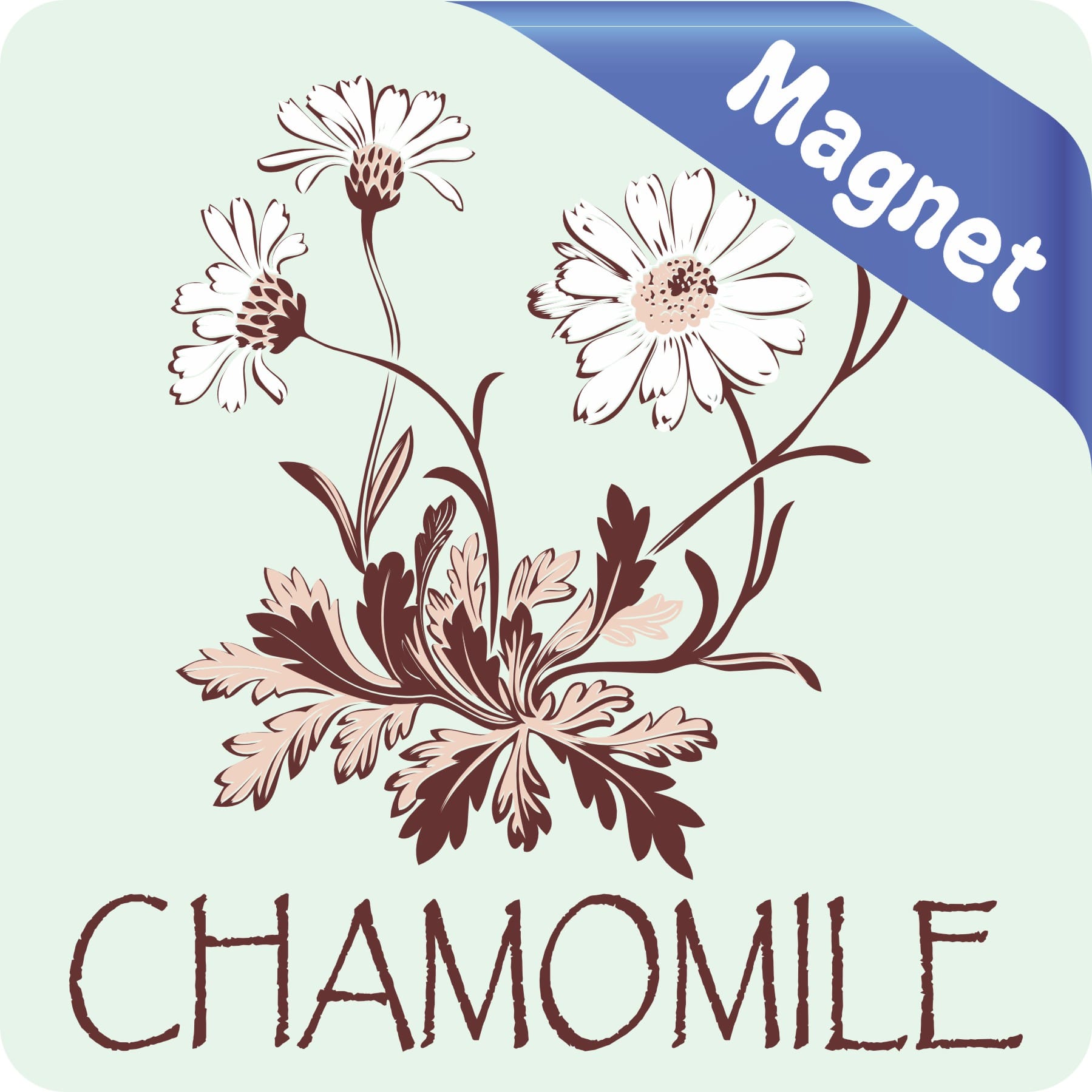 StickerTalk Chamomile Magnet, 3 inches x 3 inches - Image 2