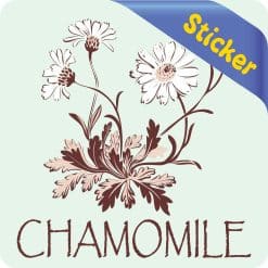 Alternative view of StickerTalk Chamomile Vinyl Sticker, 3 inches x 3 inches