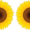 Sunflower Vinyl Stickers