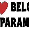 My Heart Belongs to a Paramedic Vinyl Sticker