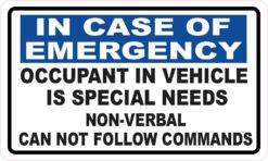 Occupant in Vehicle Is Special Needs Magnet
