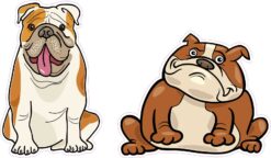 Bulldog Vinyl Stickers