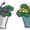 Purple and Yellow Pansies Vinyl Stickers