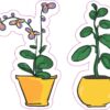 Potted Plant Vinyl Stickers