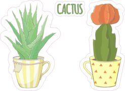 Teacup Cactus Vinyl Stickers