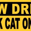Slow Driver Carsick Cat on Board Magnet