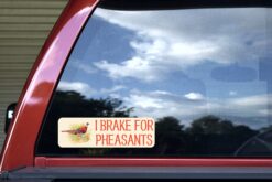I Brake for Pheasants