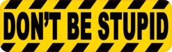 Dont Be Stupid Magnet
