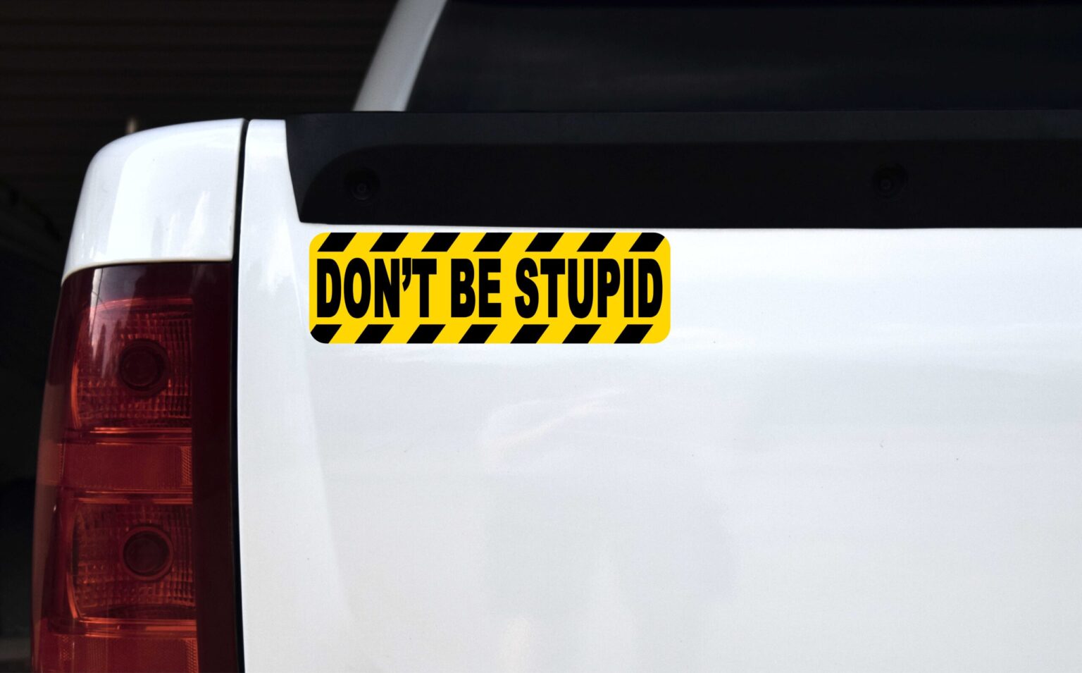 Stypid Sticker StickerTalk Dont Be Stupid Vinyl Sticker, 10 inches x 3 inches ...