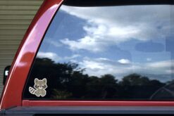 Raccoon Vinyl Stickers