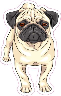 Pug Vinyl Sticker