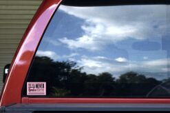 Pink and Green Inspirational Quote Vinyl Stickers