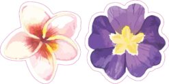 Plumeria and Pansy Flower Vinyl Stickers