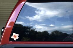 Plumeria and Pansy Flower Vinyl Stickers