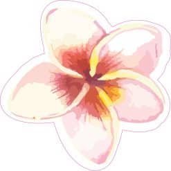 StickerTalk Watercolor Plumeria Flower Vinyl Sticker, 5 inches x
