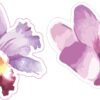 Watercolor Purple Flowers Vinyl Stickers