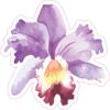 Watercolor Purple Iris Vinyl Sticker