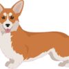 Left Facing Red and White Corgi Vinyl Sticker