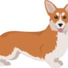 Right Facing Red and White Corgi Vinyl Sticker